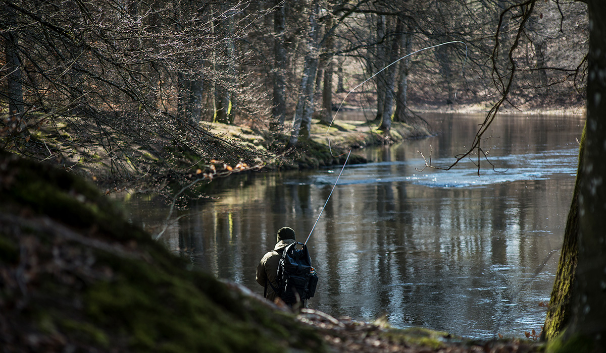 Royal fishing in the Mörrum river, part of UNESCO biosphere reserve Blekinge Arkipelag
